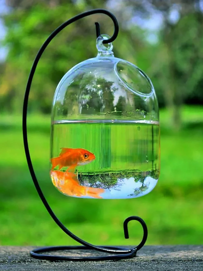 1pc Creative Hanging Transparent Glass Vase Fish Tank Tabletop Decoration - WorkPlayTravel Store
