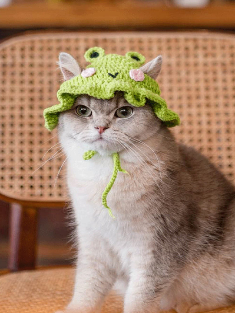 1pc Frog Design Knitted Pet Hat - WorkPlayTravel Store