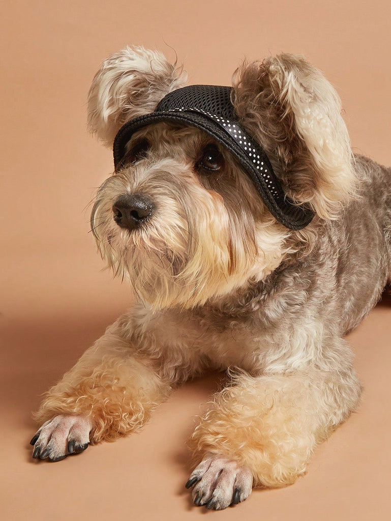 Bow Decor Pet Hat - WorkPlayTravel Store